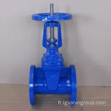 Valve de porte d&#39;eau de tige montante Z41X